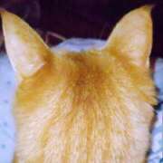 ヒメ日記 2025/09/28 03:00 投稿 けい 北九州熟女倶楽部　五十路