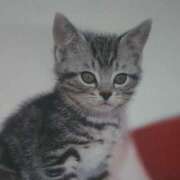 ヒメ日記 2025/09/30 02:00 投稿 けい 北九州熟女倶楽部　五十路