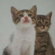 ヒメ日記 2025/10/03 03:00 投稿 けい 北九州熟女倶楽部　五十路