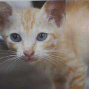 ヒメ日記 2025/10/04 03:00 投稿 けい 北九州熟女倶楽部　五十路