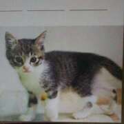 ヒメ日記 2025/10/10 03:00 投稿 けい 北九州熟女倶楽部　五十路