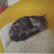 ヒメ日記 2025/10/11 03:00 投稿 けい 北九州熟女倶楽部　五十路