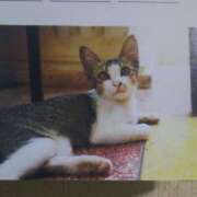 ヒメ日記 2025/10/12 03:00 投稿 けい 北九州熟女倶楽部　五十路