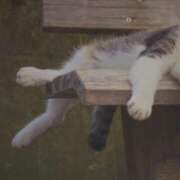 ヒメ日記 2025/10/24 03:00 投稿 けい 北九州熟女倶楽部　五十路