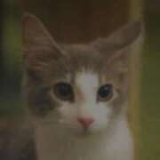 ヒメ日記 2025/10/25 03:00 投稿 けい 北九州熟女倶楽部　五十路