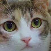 ヒメ日記 2025/11/02 03:00 投稿 けい 北九州熟女倶楽部　五十路