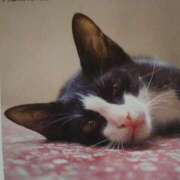 ヒメ日記 2025/12/02 02:00 投稿 けい 北九州熟女倶楽部　五十路