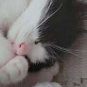 ヒメ日記 2025/12/07 03:00 投稿 けい 北九州熟女倶楽部　五十路