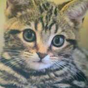 ヒメ日記 2025/12/08 18:01 投稿 けい 北九州熟女倶楽部　五十路