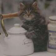 ヒメ日記 2026/01/13 02:00 投稿 けい 北九州熟女倶楽部　五十路