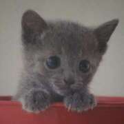 ヒメ日記 2026/01/16 03:00 投稿 けい 北九州熟女倶楽部　五十路