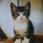 ヒメ日記 2026/01/24 03:00 投稿 けい 北九州熟女倶楽部　五十路