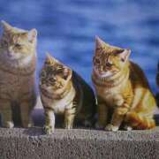 ヒメ日記 2026/01/25 03:00 投稿 けい 北九州熟女倶楽部　五十路