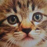 ヒメ日記 2026/01/31 03:00 投稿 けい 北九州熟女倶楽部　五十路