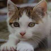 ヒメ日記 2026/02/01 03:00 投稿 けい 北九州熟女倶楽部　五十路