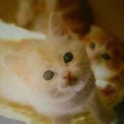 ヒメ日記 2026/02/06 03:00 投稿 けい 北九州熟女倶楽部　五十路