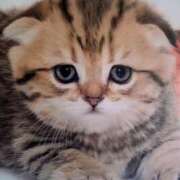 ヒメ日記 2026/02/17 02:00 投稿 けい 北九州熟女倶楽部　五十路