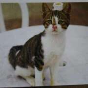 けい ありがとうございました 北九州熟女倶楽部　五十路