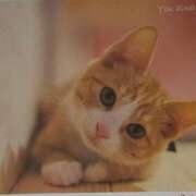 ヒメ日記 2026/07/10 01:00 投稿 けい 北九州熟女倶楽部　五十路