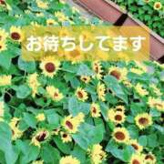 ヒメ日記 2025/08/08 03:16 投稿 りょう 北九州熟女倶楽部　五十路