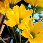 ヒメ日記 2025/11/11 03:06 投稿 りょう 北九州熟女倶楽部　五十路