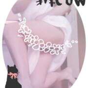 ヒメ日記 2025/09/24 10:28 投稿 ゆうき 北九州熟女倶楽部　五十路