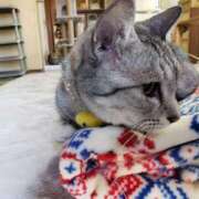 ヒメ日記 2025/12/14 23:23 投稿 ゆうき 北九州熟女倶楽部　五十路