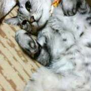 ヒメ日記 2025/12/19 16:45 投稿 ゆうき 北九州熟女倶楽部　五十路