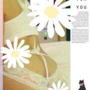 ヒメ日記 2025/12/21 12:15 投稿 ゆうき 北九州熟女倶楽部　五十路