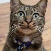 ヒメ日記 2026/01/15 23:41 投稿 ゆうき 北九州熟女倶楽部　五十路