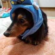 ゆうき 本日の受付は終了しました~ 北九州熟女倶楽部　五十路