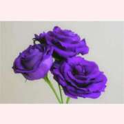 ヒメ日記 2025/07/30 16:30 投稿 はなこ 北九州熟女倶楽部　五十路