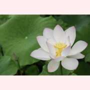 ヒメ日記 2025/08/02 12:00 投稿 はなこ 北九州熟女倶楽部　五十路