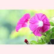 ヒメ日記 2025/08/10 14:00 投稿 はなこ 北九州熟女倶楽部　五十路