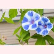 ヒメ日記 2025/08/11 12:00 投稿 はなこ 北九州熟女倶楽部　五十路