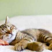 ヒメ日記 2025/08/12 00:02 投稿 はなこ 北九州熟女倶楽部　五十路