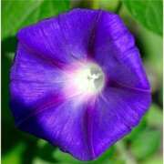 ヒメ日記 2025/08/12 16:30 投稿 はなこ 北九州熟女倶楽部　五十路