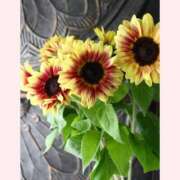 ヒメ日記 2025/08/16 16:30 投稿 はなこ 北九州熟女倶楽部　五十路