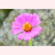 ヒメ日記 2025/08/22 16:30 投稿 はなこ 北九州熟女倶楽部　五十路