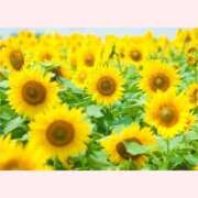 ヒメ日記 2025/08/25 16:30 投稿 はなこ 北九州熟女倶楽部　五十路