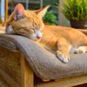 ヒメ日記 2025/09/05 00:00 投稿 はなこ 北九州熟女倶楽部　五十路