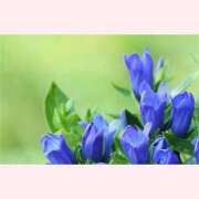 ヒメ日記 2025/09/07 14:00 投稿 はなこ 北九州熟女倶楽部　五十路