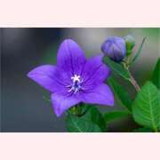 ヒメ日記 2025/09/11 16:30 投稿 はなこ 北九州熟女倶楽部　五十路