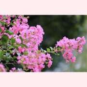 ヒメ日記 2025/09/17 13:30 投稿 はなこ 北九州熟女倶楽部　五十路