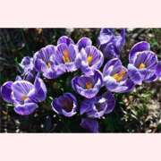 ヒメ日記 2025/09/19 16:30 投稿 はなこ 北九州熟女倶楽部　五十路