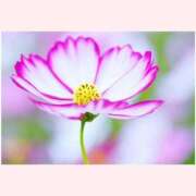 ヒメ日記 2025/10/02 14:30 投稿 はなこ 北九州熟女倶楽部　五十路