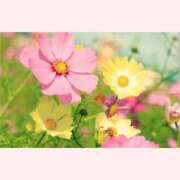 ヒメ日記 2025/10/04 14:30 投稿 はなこ 北九州熟女倶楽部　五十路