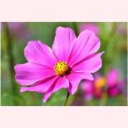 ヒメ日記 2025/10/20 14:30 投稿 はなこ 北九州熟女倶楽部　五十路