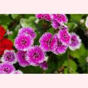 ヒメ日記 2025/10/23 14:30 投稿 はなこ 北九州熟女倶楽部　五十路