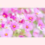 ヒメ日記 2025/10/26 12:30 投稿 はなこ 北九州熟女倶楽部　五十路